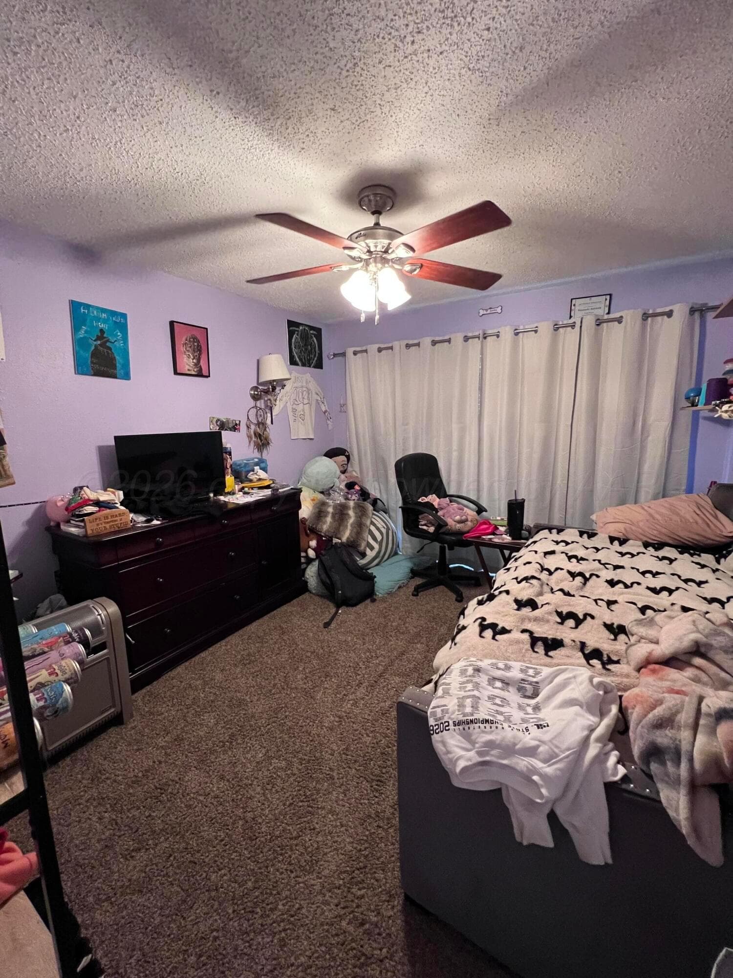 1208 W 8th Street, Friona, TX 79035, photo 11