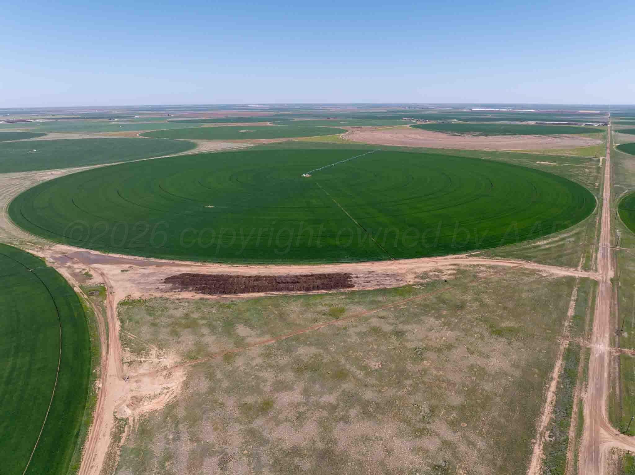 Busby Farm 516.34 Acres CR 625, Hart, TX 79027, photo 5