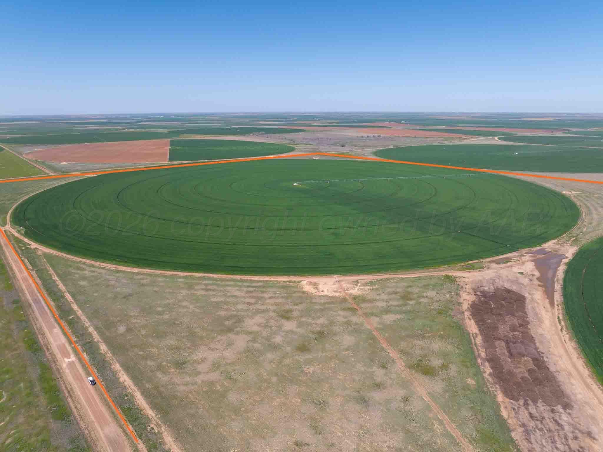 Busby Farm 516.34 Acres CR 625, Hart, TX 79027, photo 4