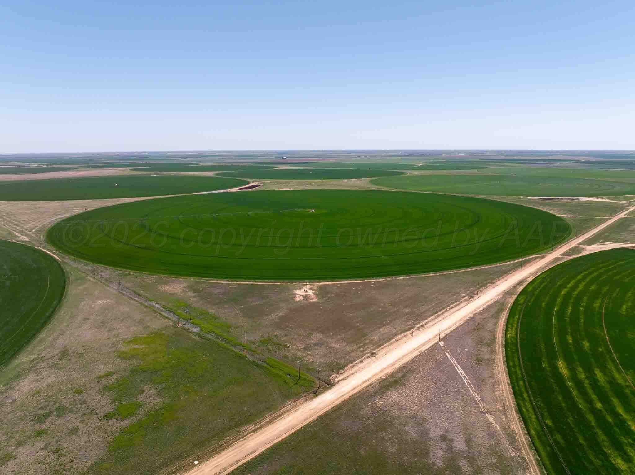 Busby Farm 516.34 Acres CR 625, Hart, TX 79027, photo 11