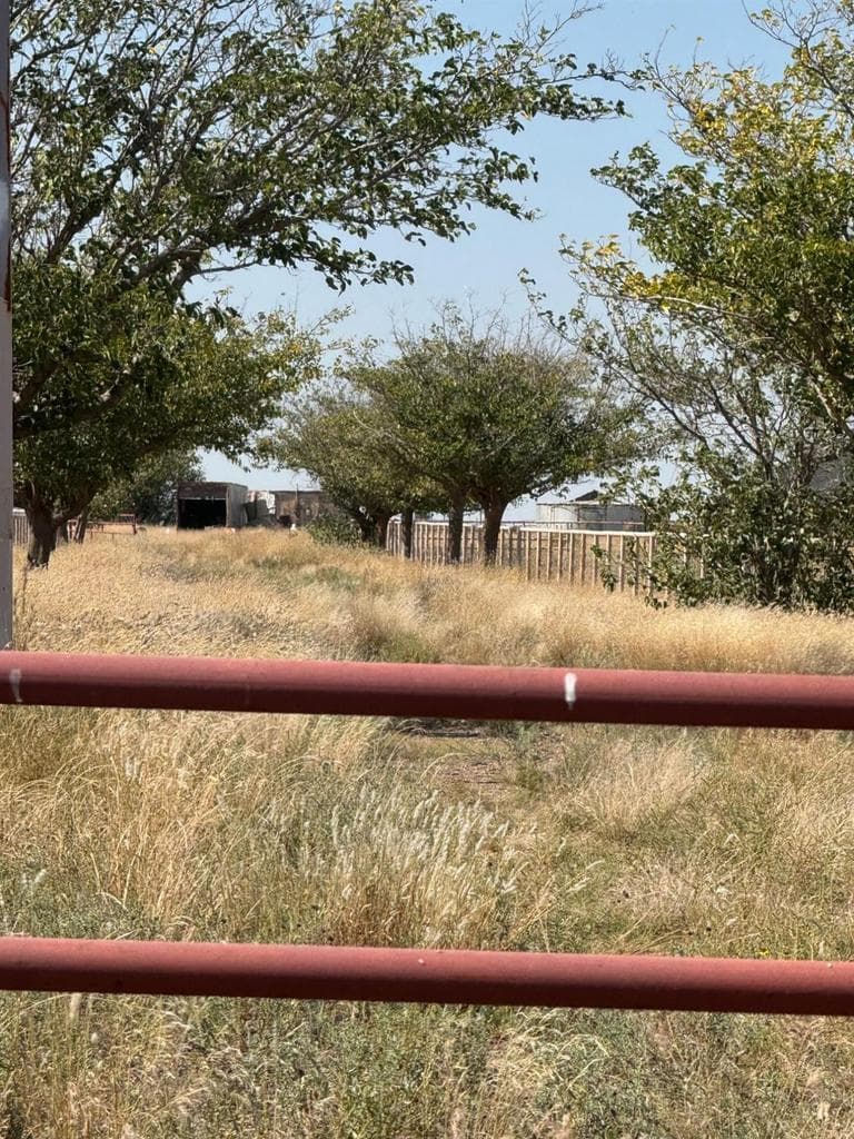 0 FM 1264, Lubbock, TX 79350, photo 10