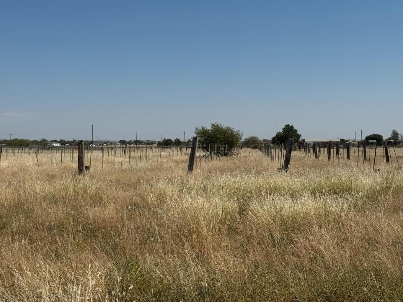 0 FM 1264, Lubbock, TX 79350, photo 3