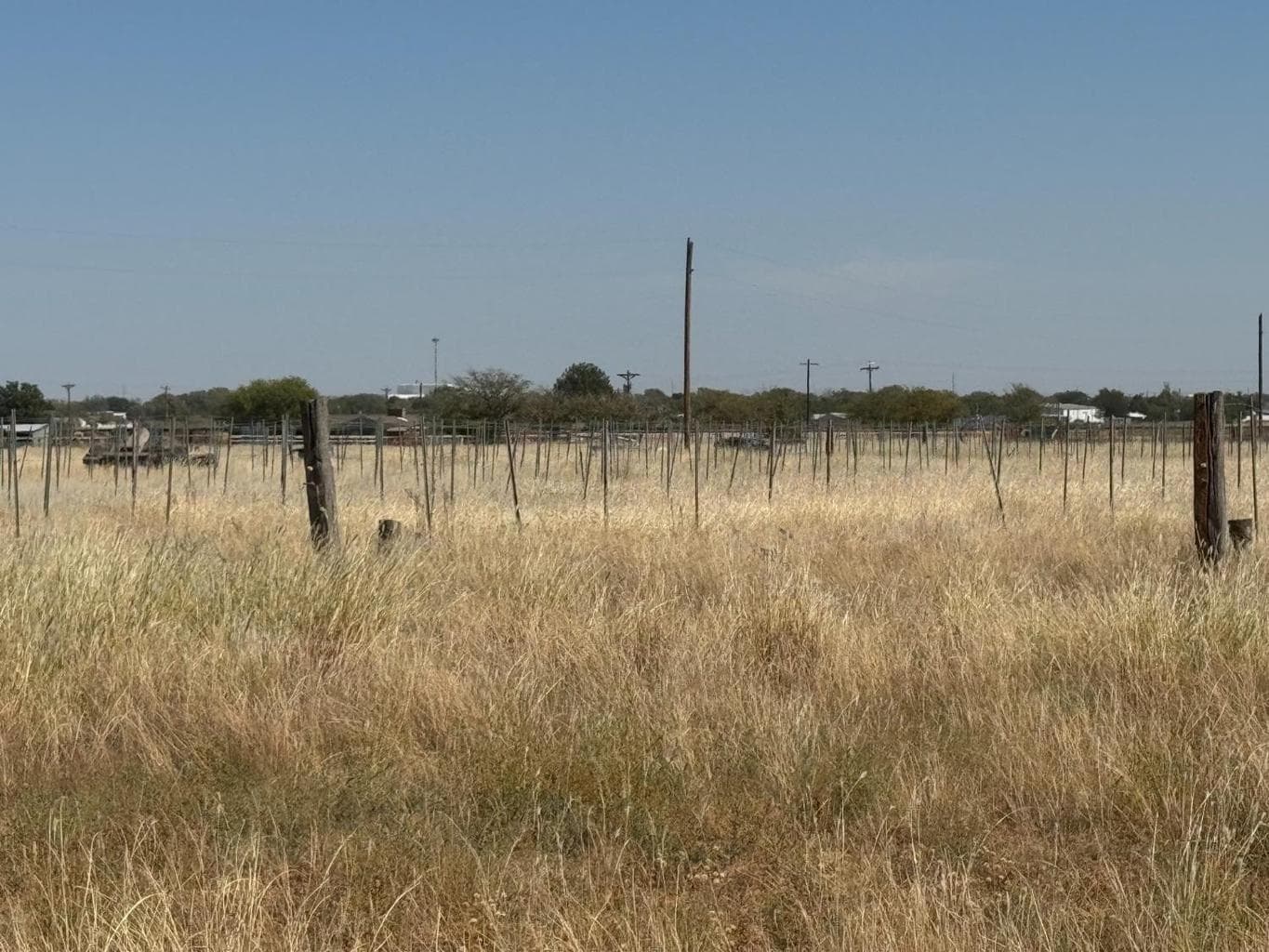 0 FM 1264, Lubbock, TX 79350, photo 6