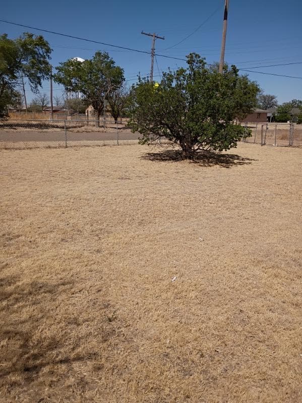 328 N Austin Avenue, Tulia, TX 79088, photo 23