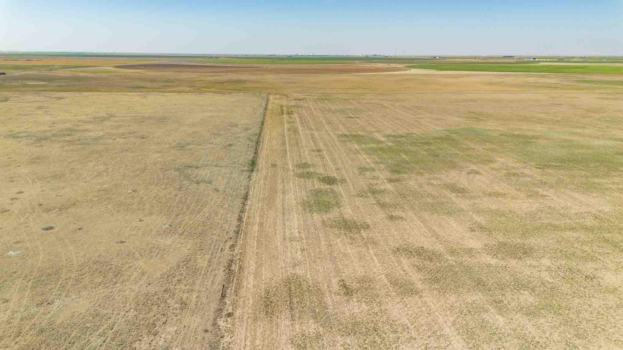 Baskin Ranch ±3,142.65ac, Stratford, TX 79084, photo 12