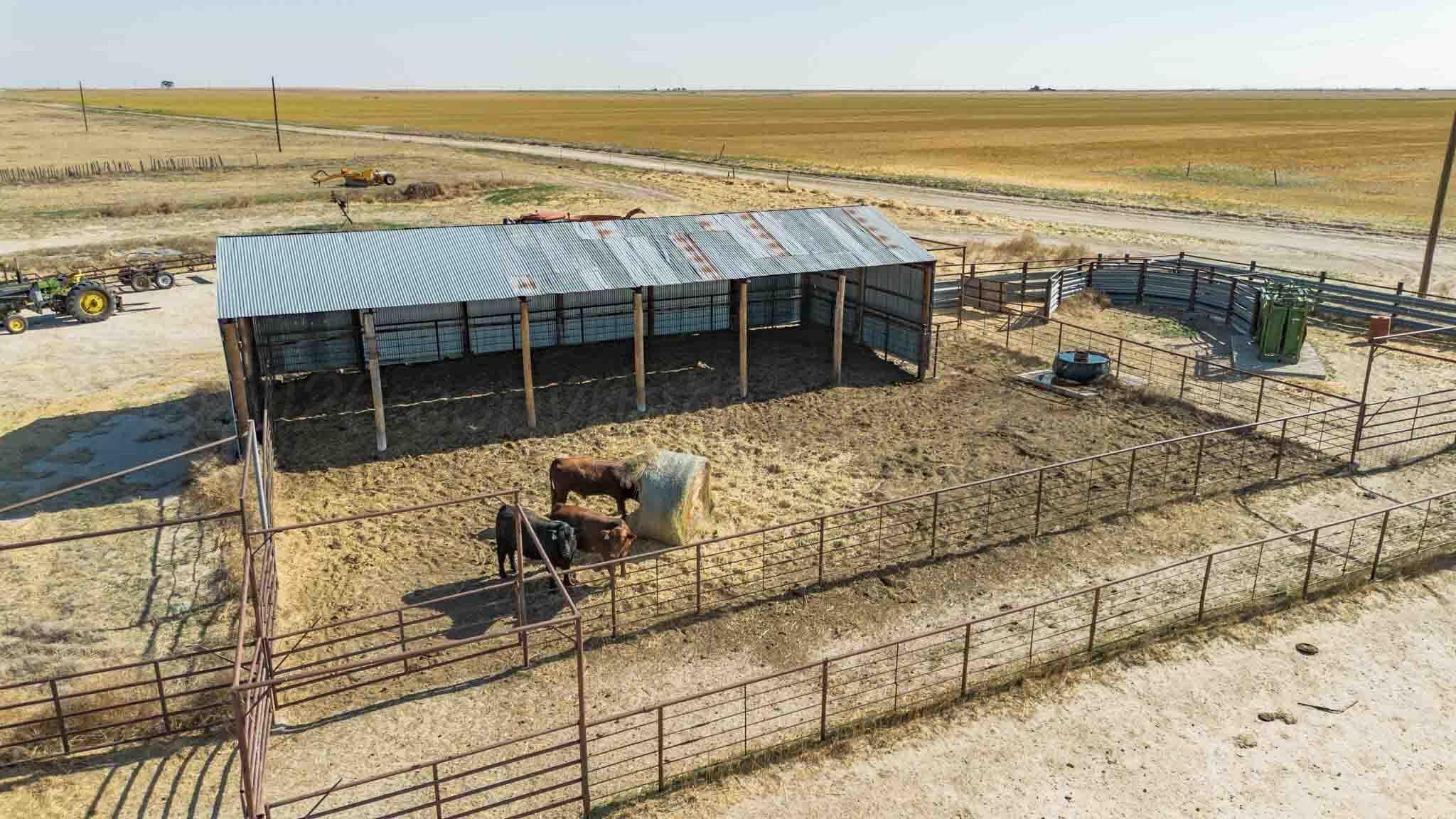 Baskin Ranch ±3,142.65ac, Stratford, TX 79084, photo 38