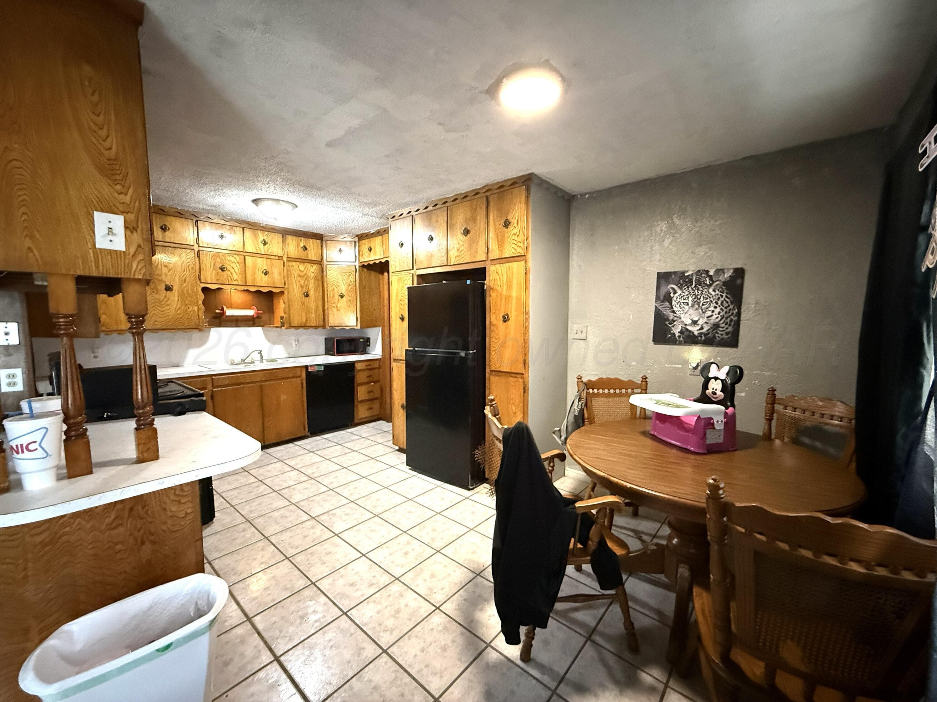 911 N DUNCAN Street, Pampa, TX 79065-5522, photo 3