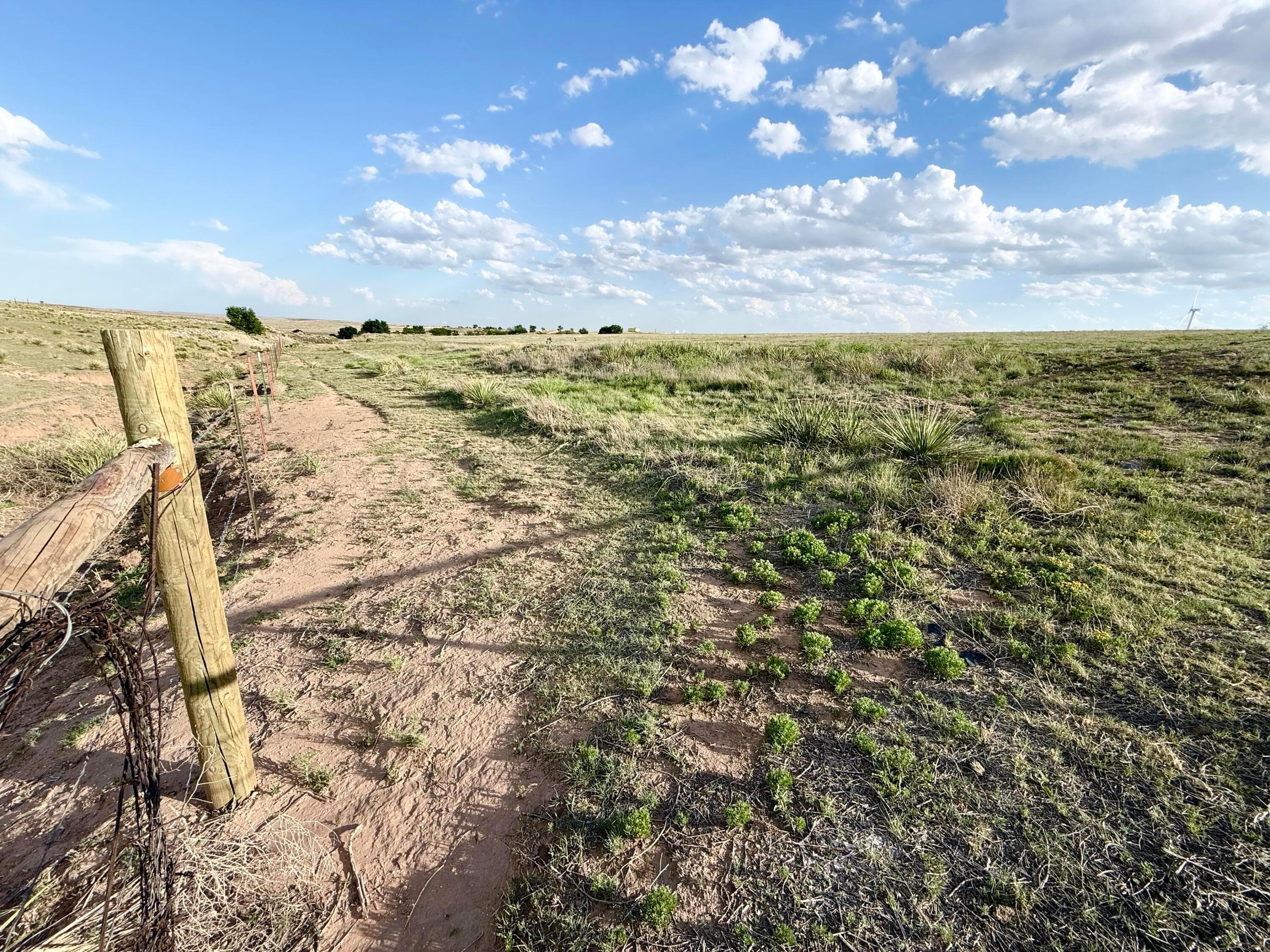 HWY 287, Dumas, TX 79029, photo 4