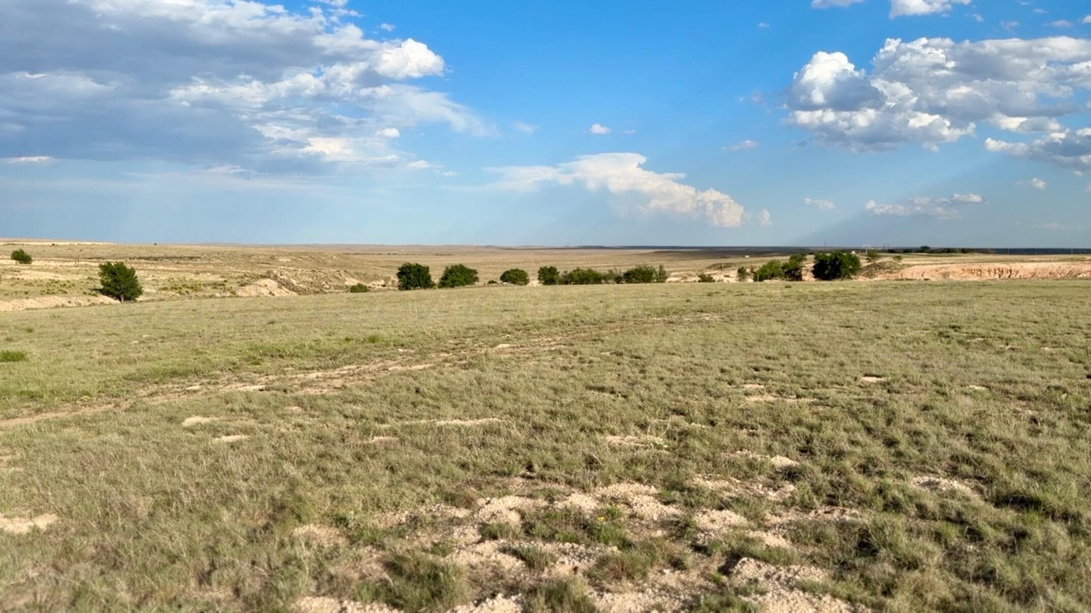 HWY 287, Dumas, TX 79029, photo 6