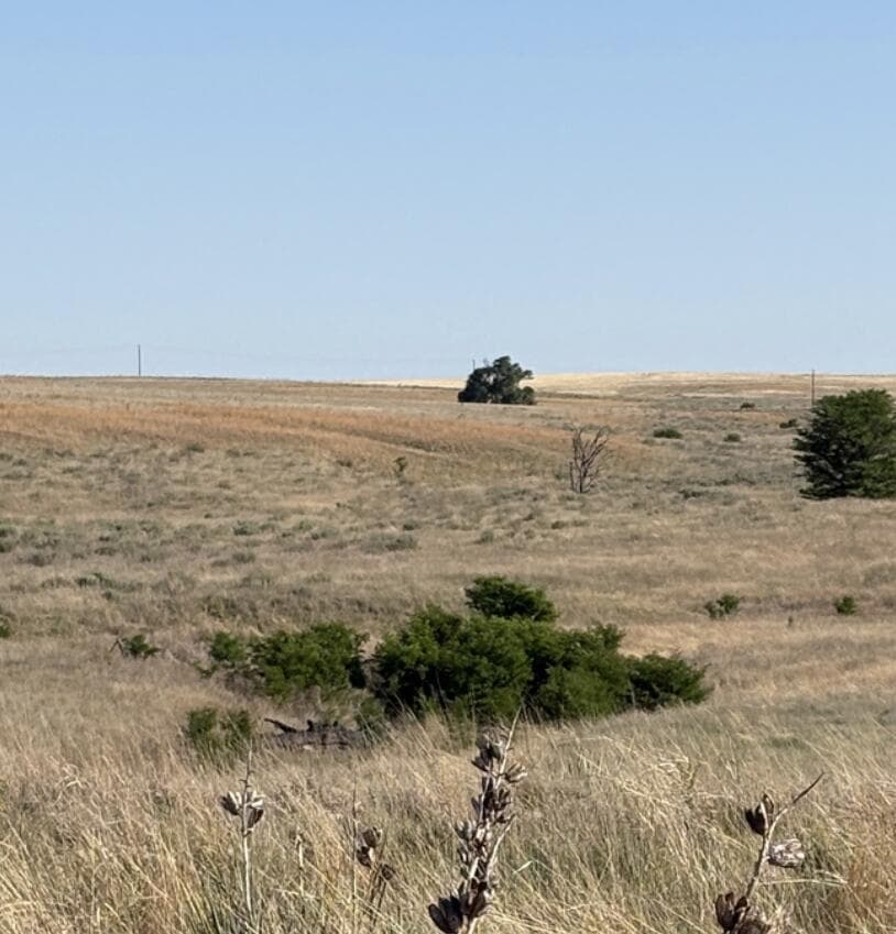 Canadian, TX 79014, photo 7