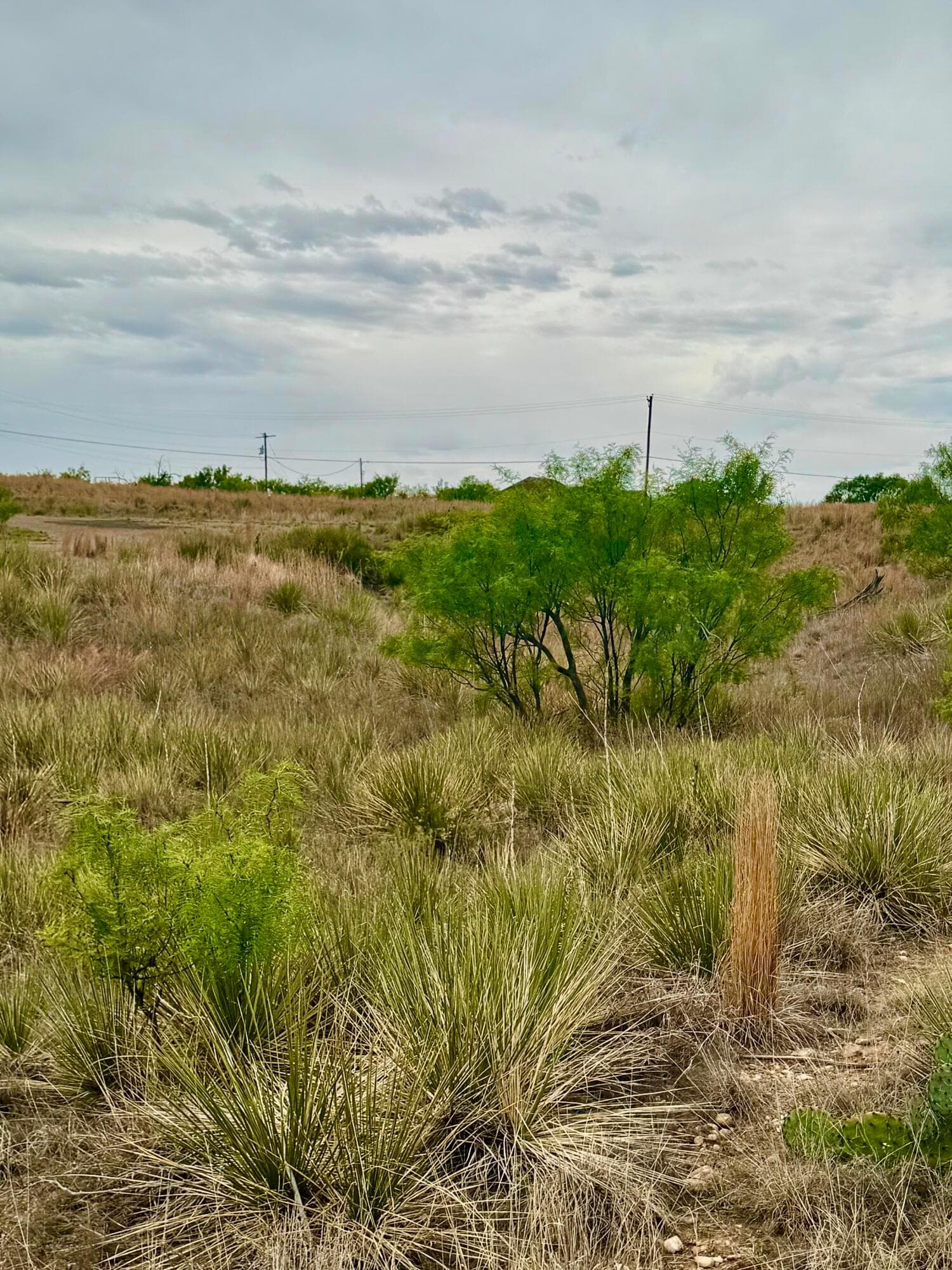 0 Cimaron Drive, Fritch, TX 79036, photo 3