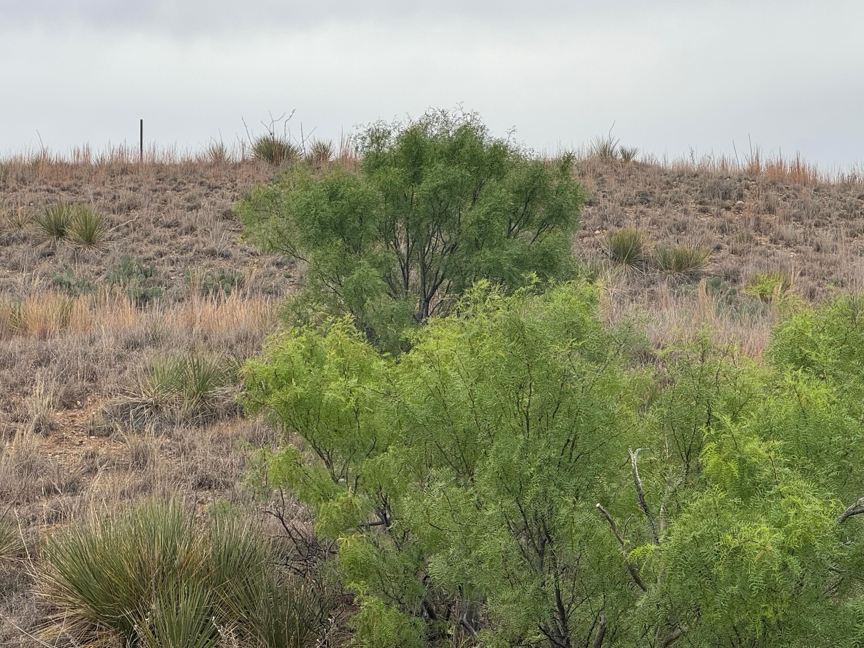 0 Cimaron Drive, Fritch, TX 79036, photo 5
