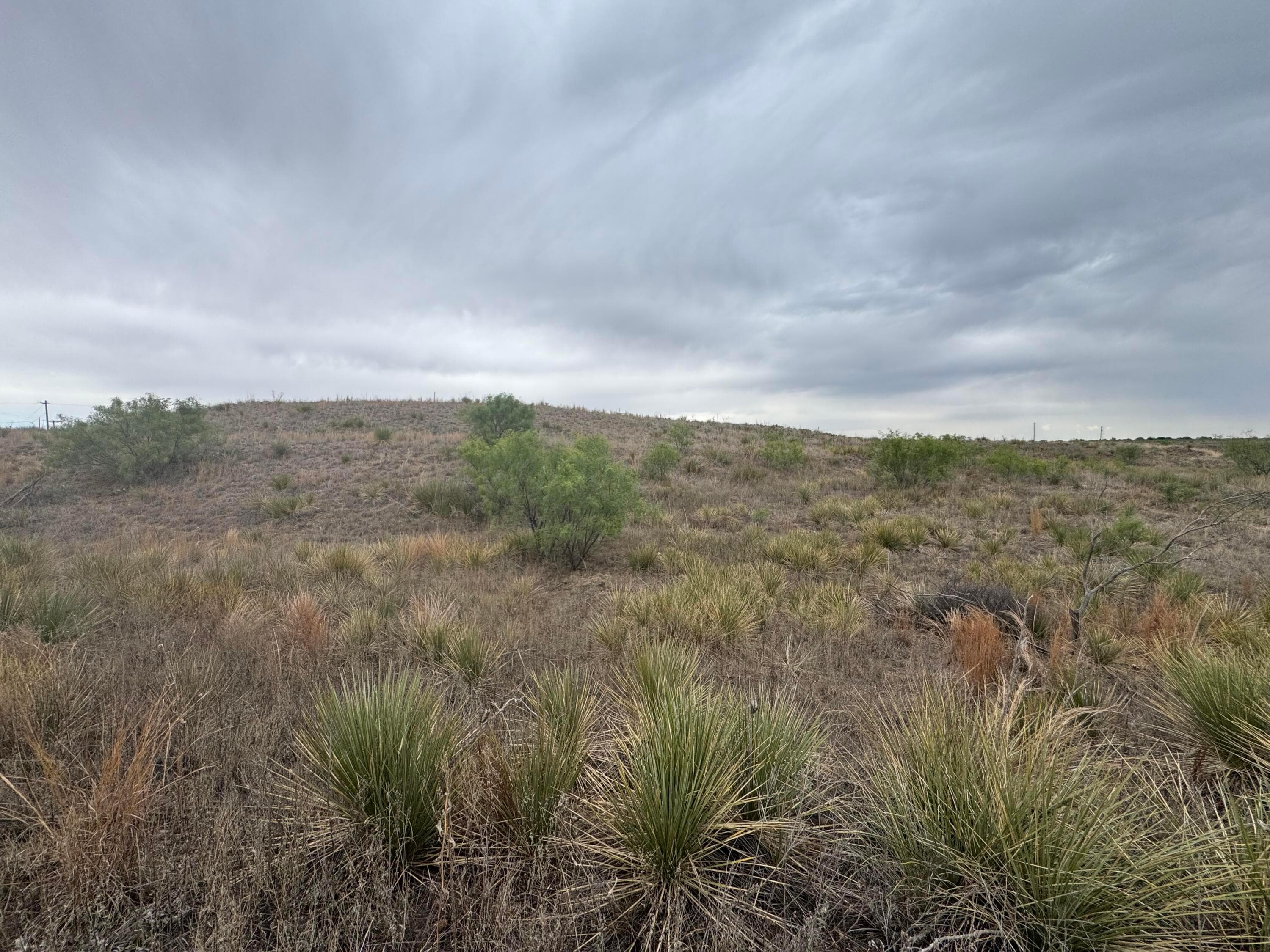 0 Cimaron Drive, Fritch, TX 79036, photo 6