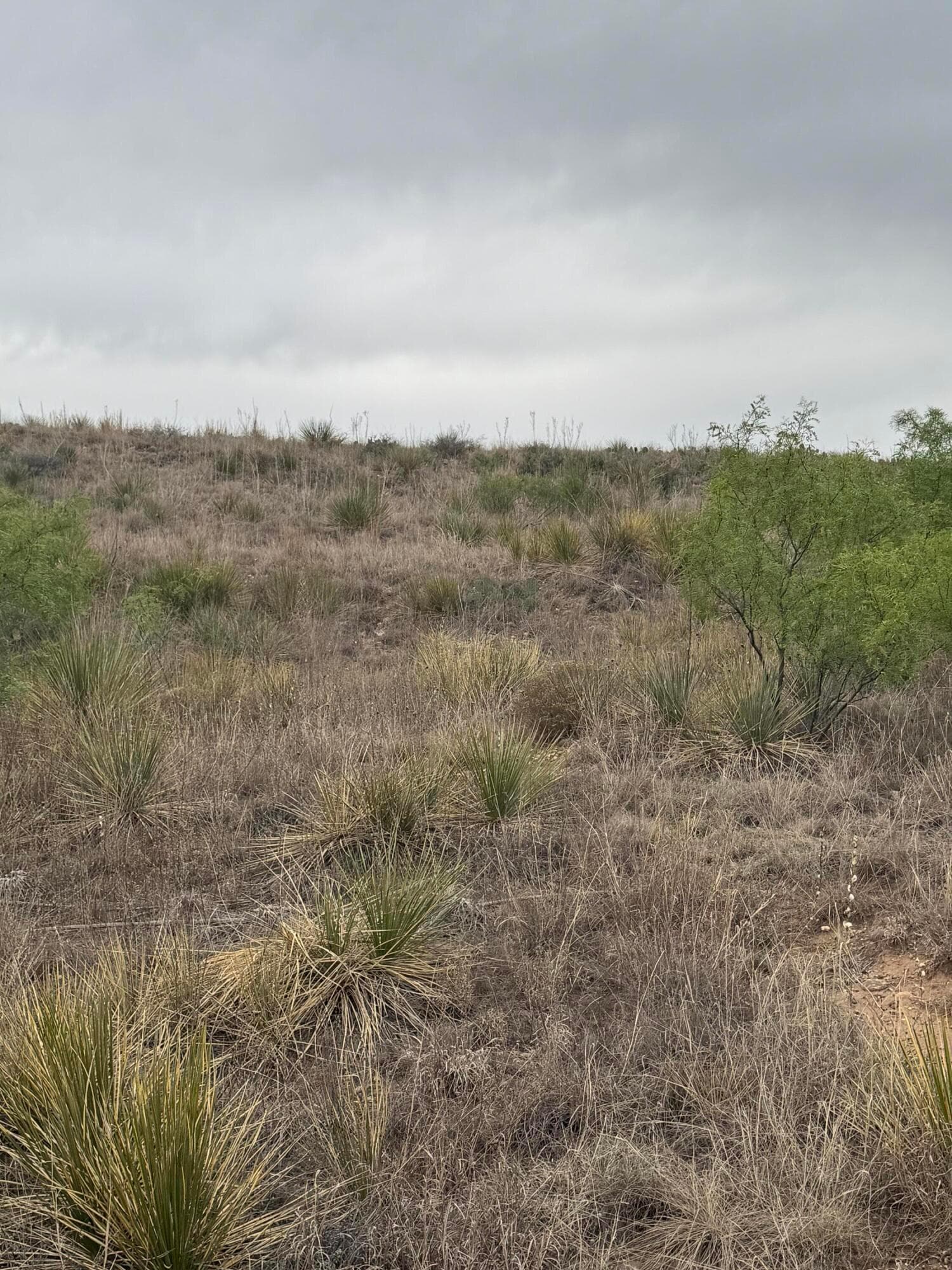 0 Cimaron Drive, Fritch, TX 79036, photo 2