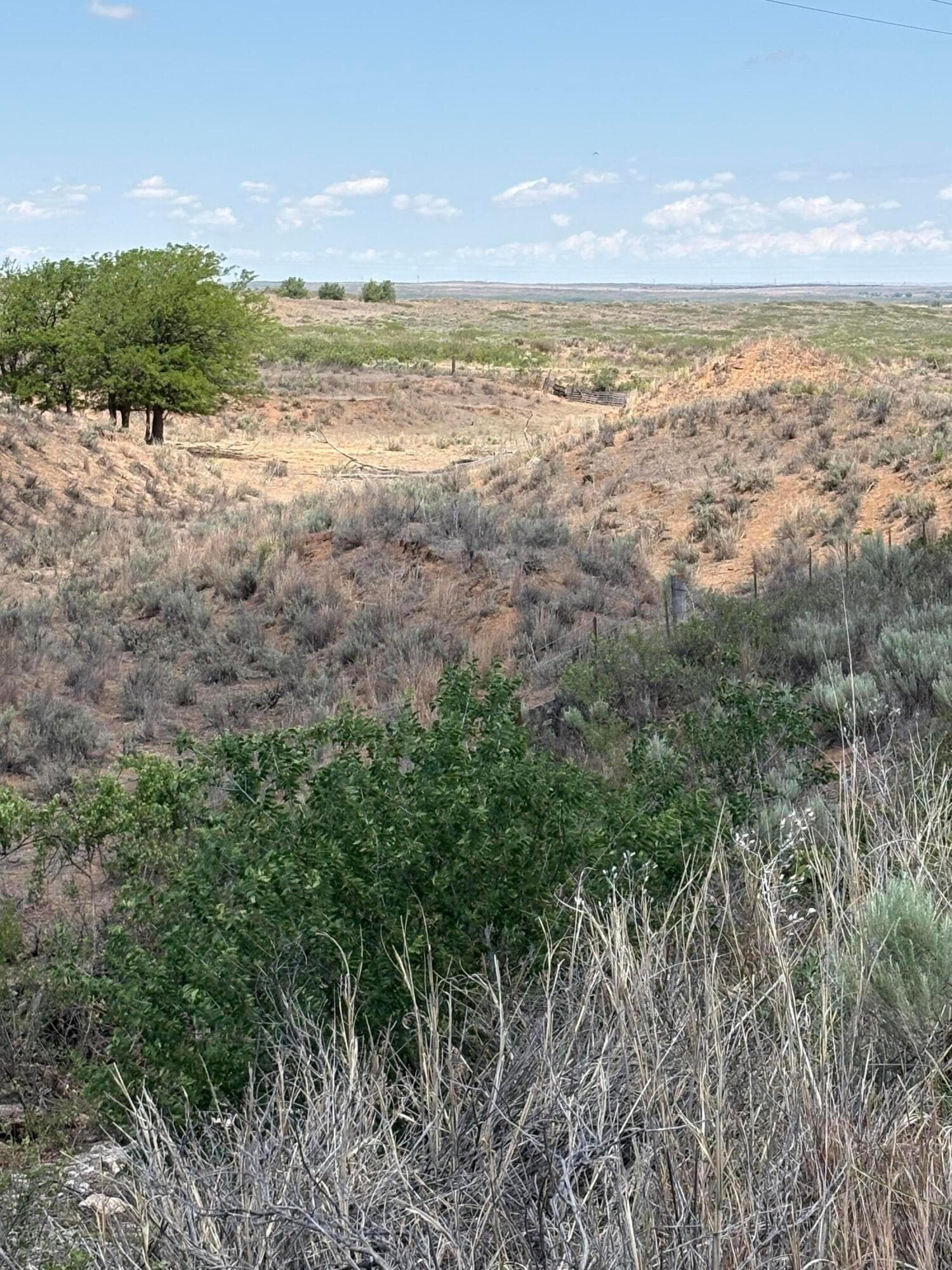 McLean, TX 79057, photo 2