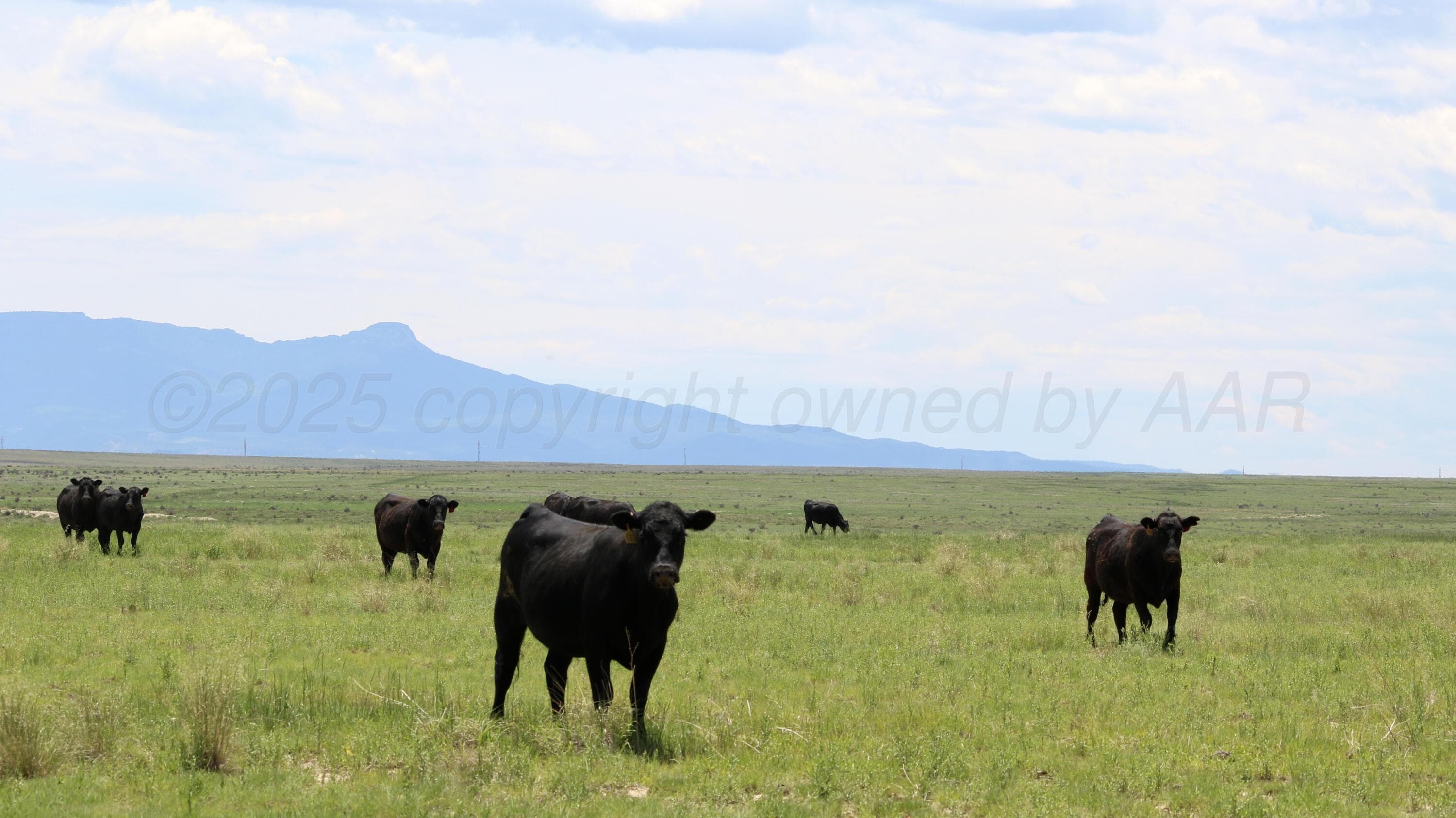 48999 County Road 48, Other - Not in list, CO 81059, photo 7