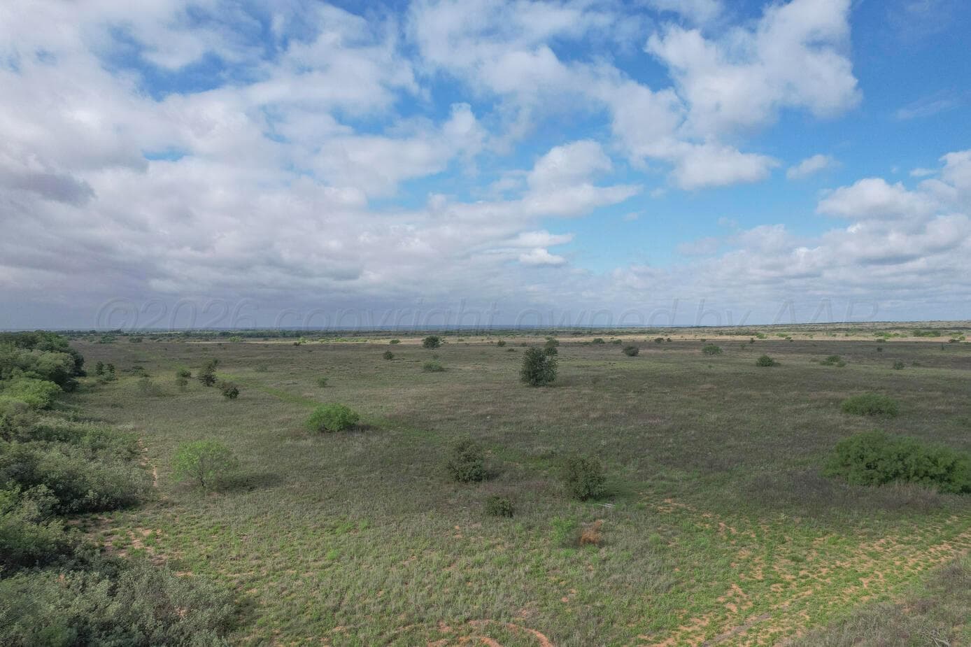 237.5 acres Cottle County, Paducah, TX 79248, photo 3