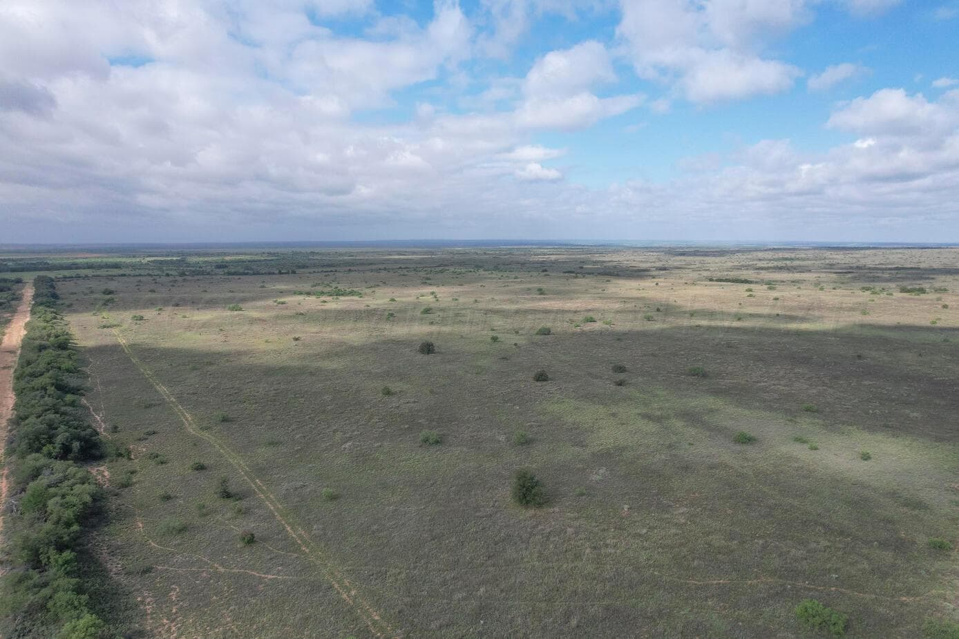 237.5 acres Cottle County, Paducah, TX 79248, photo 5