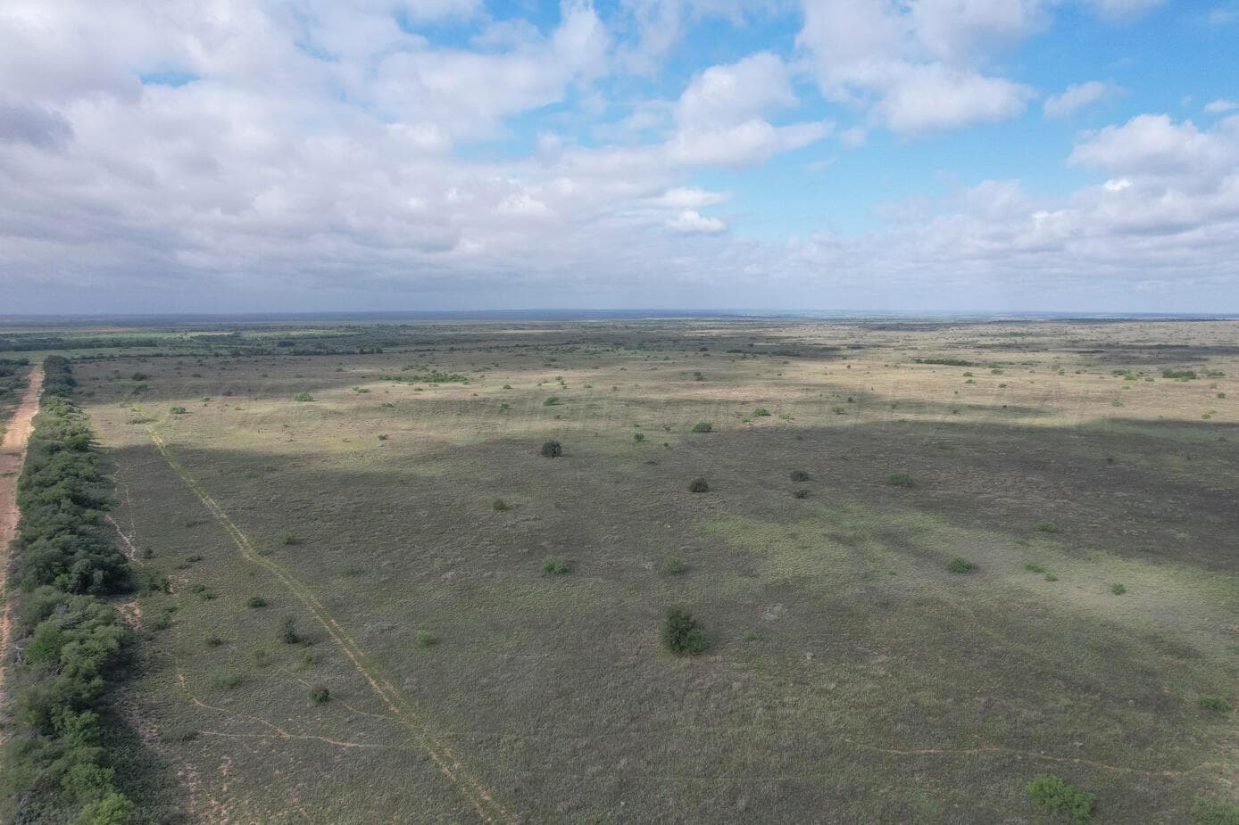 237.5 acres Cottle County, Paducah, TX 79248, photo 6