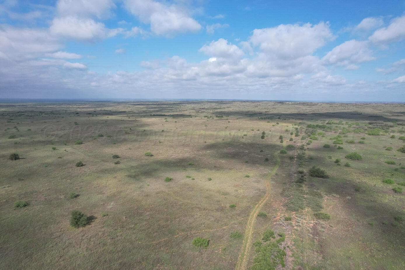 237.5 acres Cottle County, Paducah, TX 79248, photo 7