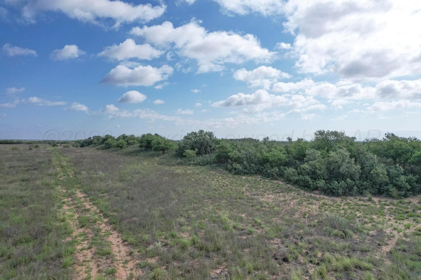 237.5 acres Cottle County, Paducah, TX 79248, photo 8