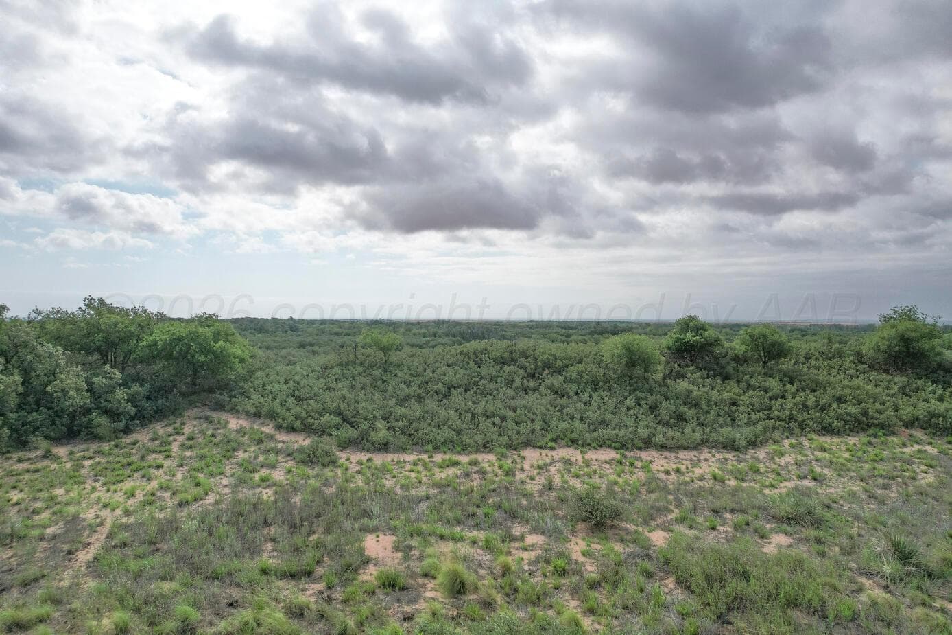 237.5 acres Cottle County, Paducah, TX 79248, photo 9