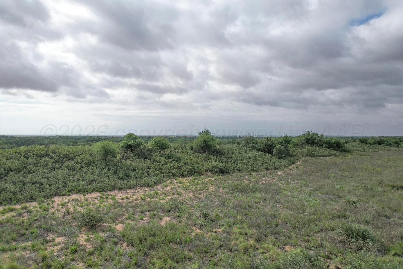 237.5 acres Cottle County, Paducah, TX 79248, photo 10