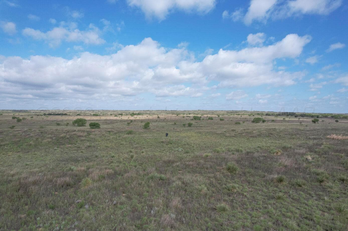 237.5 acres Cottle County, Paducah, TX 79248, photo 11