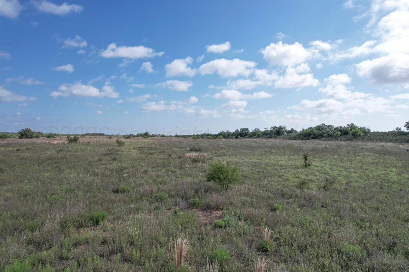 237.5 acres Cottle County, Paducah, TX 79248, photo 12