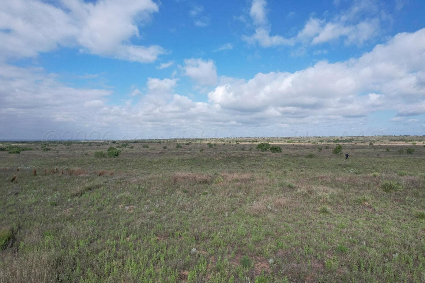 237.5 acres Cottle County, Paducah, TX 79248, photo 13