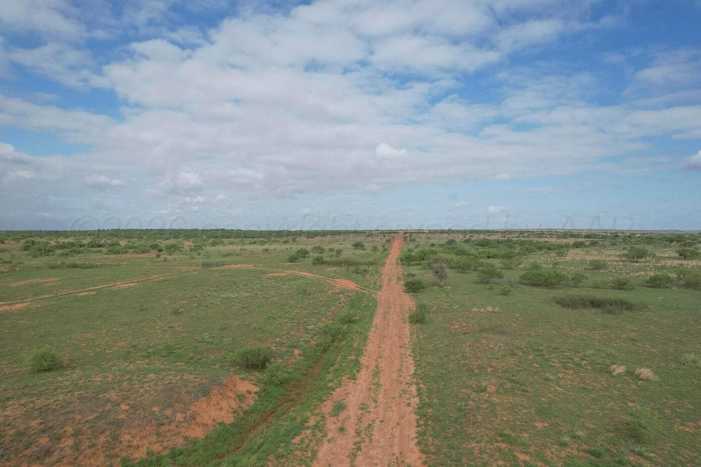 237.5 acres Cottle County, Paducah, TX 79248, photo 24