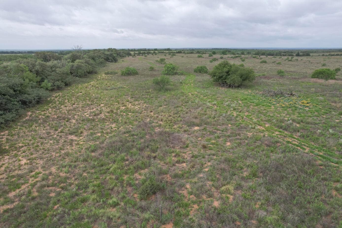 237.5 acres Cottle County, Paducah, TX 79248, photo 26