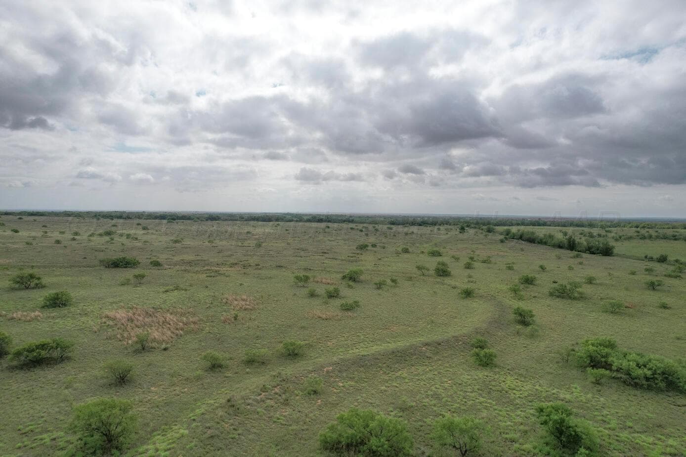 237.5 acres Cottle County, Paducah, TX 79248, photo 37