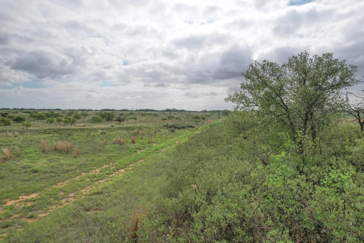 237.5 acres Cottle County, Paducah, TX 79248, photo 44