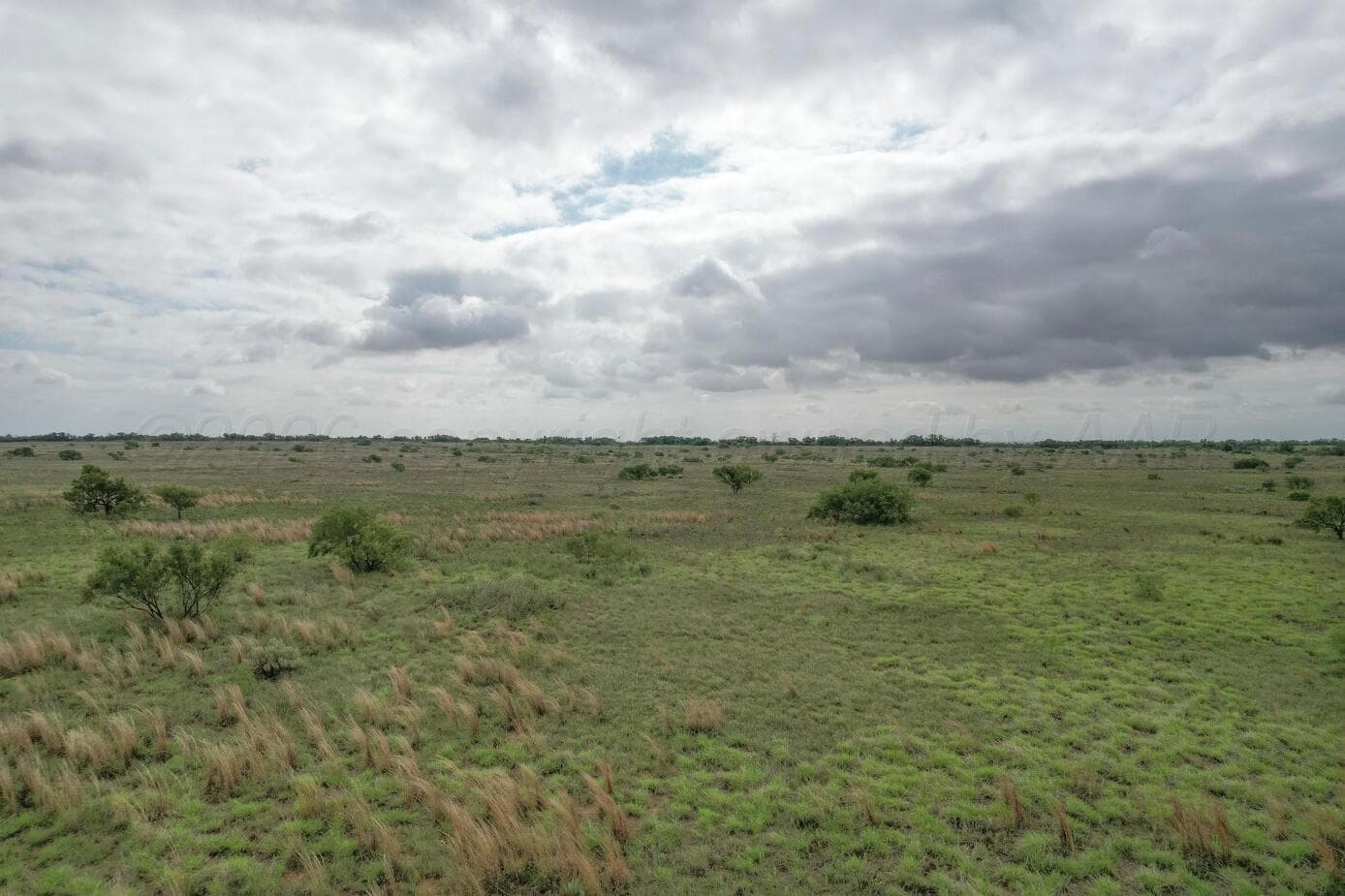 237.5 acres Cottle County, Paducah, TX 79248, photo 45
