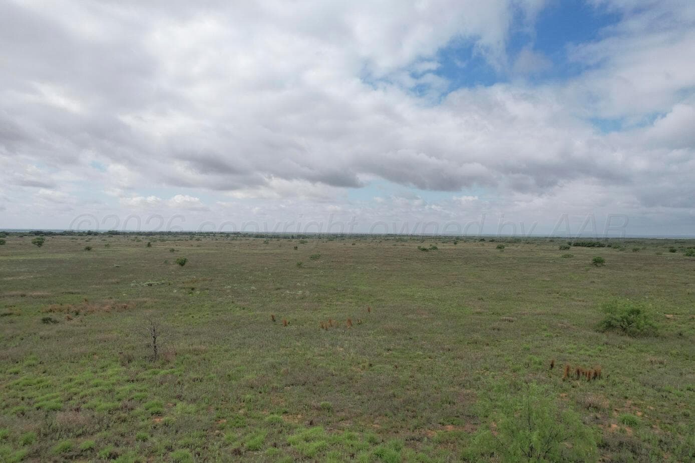 237.5 acres Cottle County, Paducah, TX 79248, photo 48