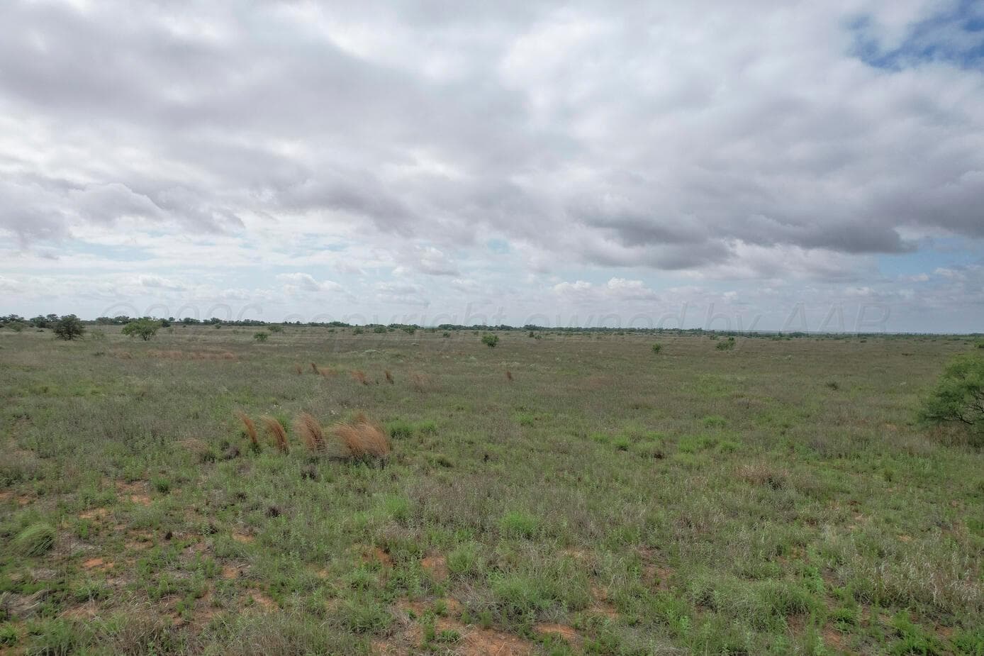 237.5 acres Cottle County, Paducah, TX 79248, photo 51