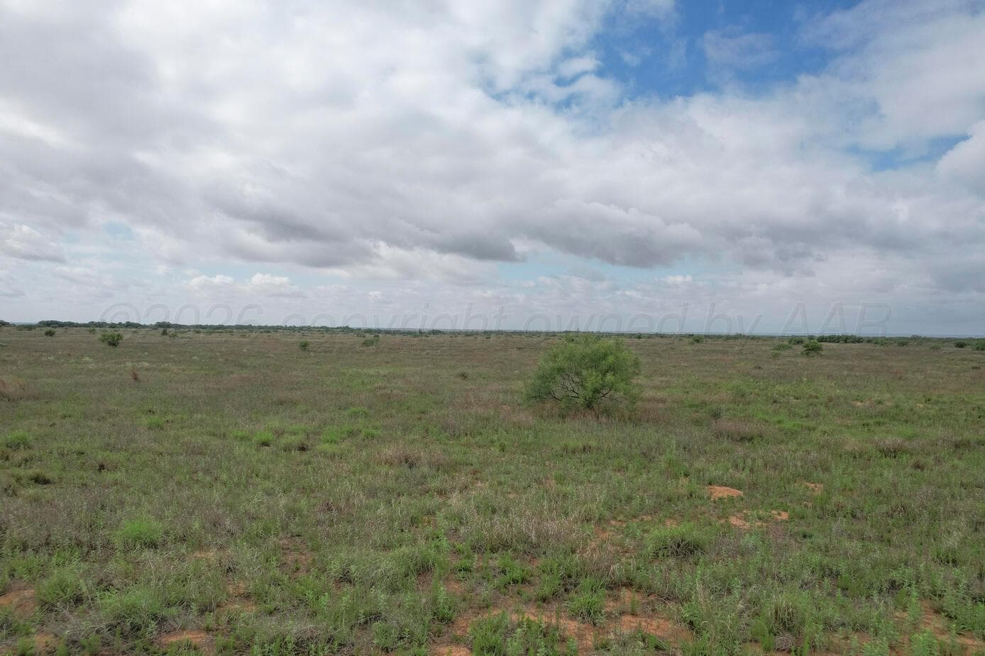 237.5 acres Cottle County, Paducah, TX 79248, photo 52
