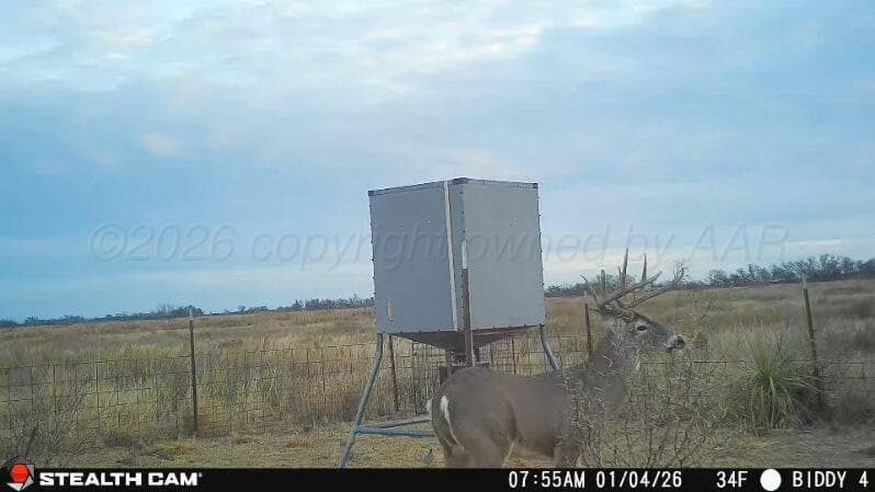 237.5 acres Cottle County, Paducah, TX 79248, photo 65