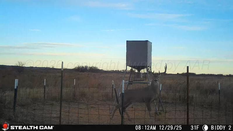 237.5 acres Cottle County, Paducah, TX 79248, photo 66