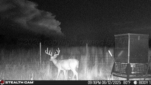 237.5 acres Cottle County, Paducah, TX 79248, photo 67