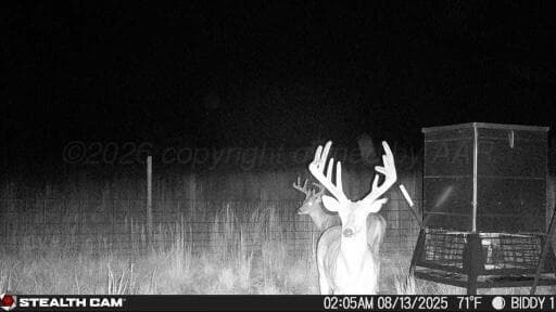 237.5 acres Cottle County, Paducah, TX 79248, photo 68