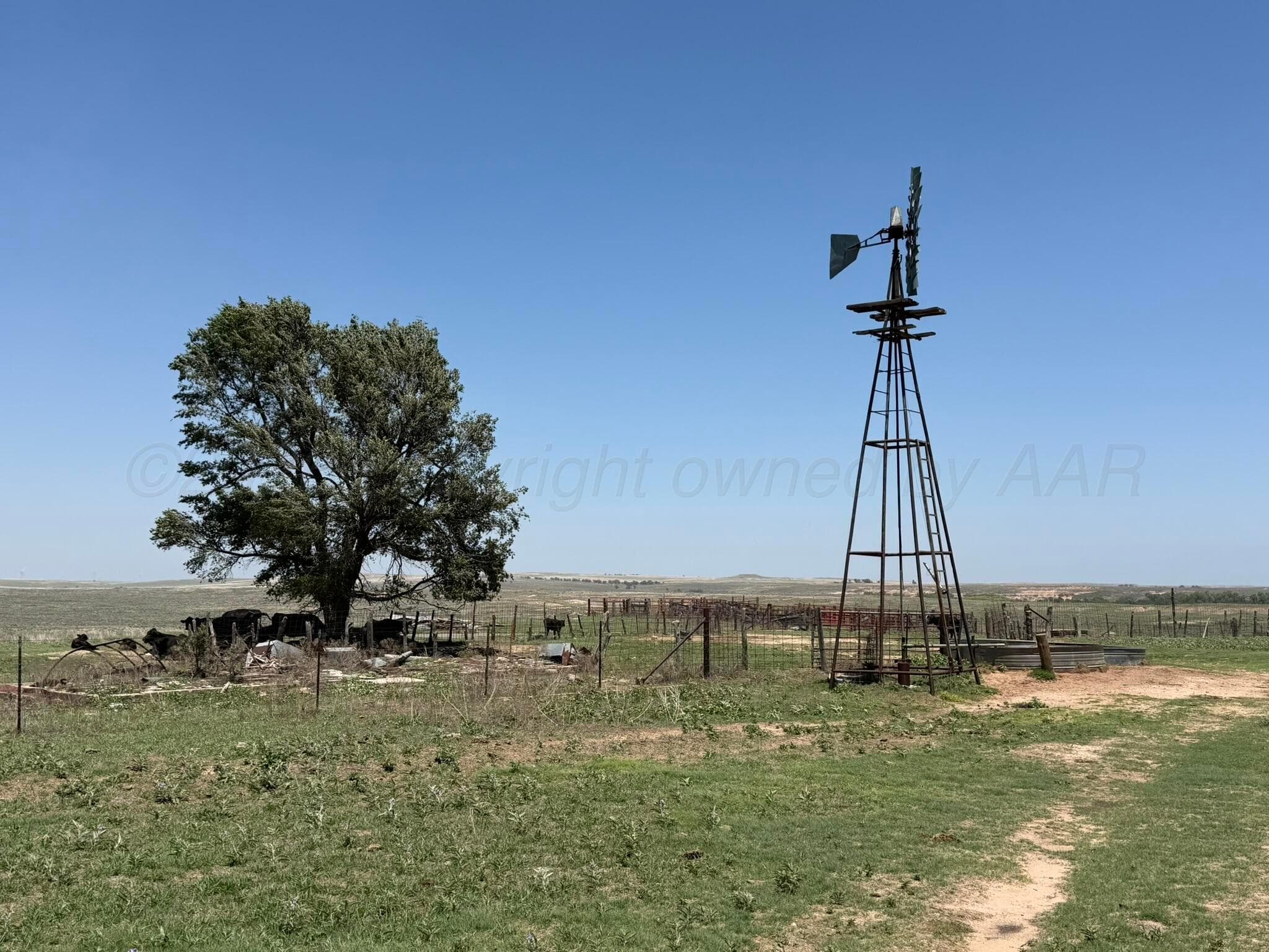 TBD County Road 3, Mobeetie, TX 79061, photo 7