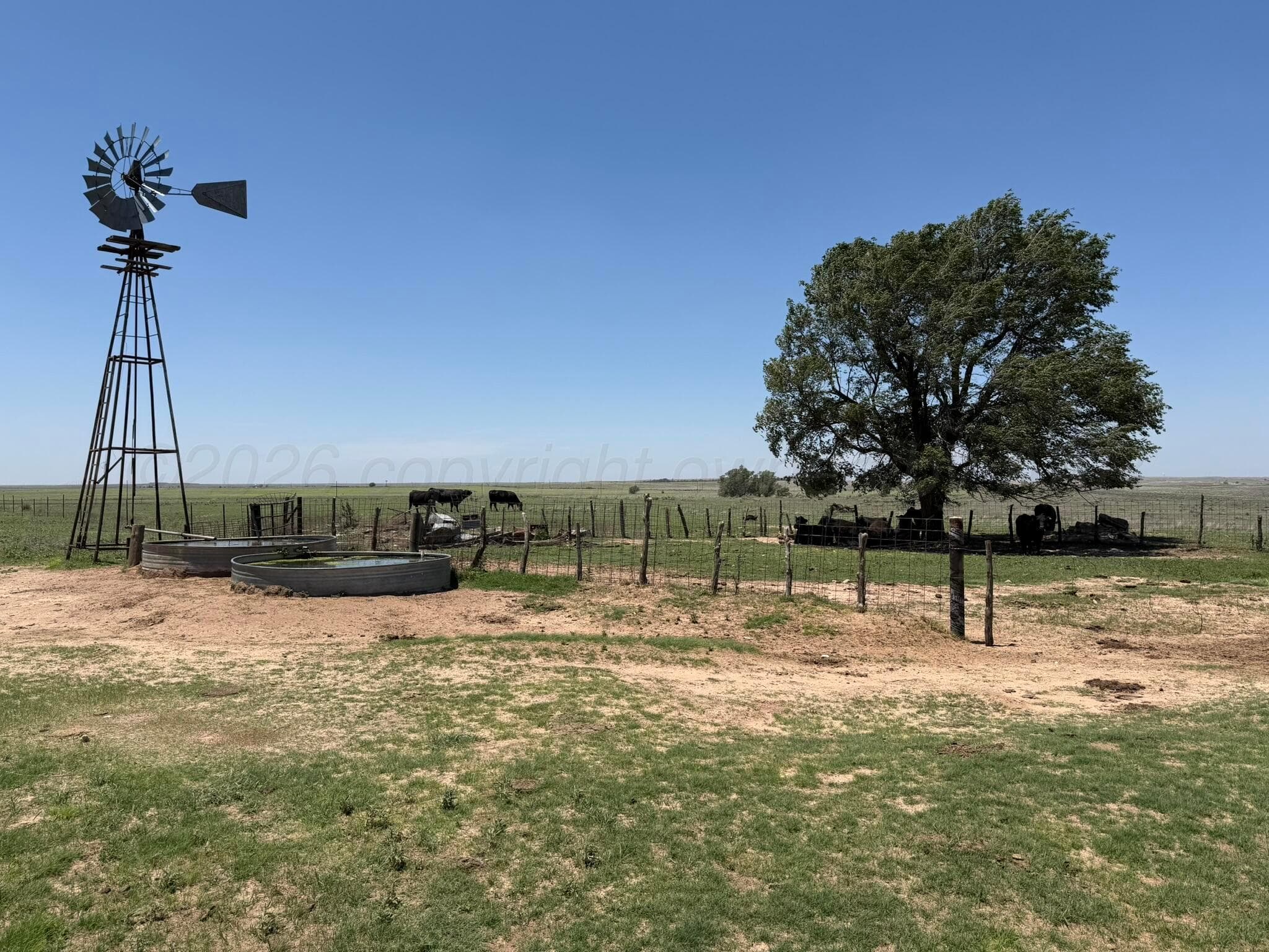 TBD County Road 3, Mobeetie, TX 79061, photo 8