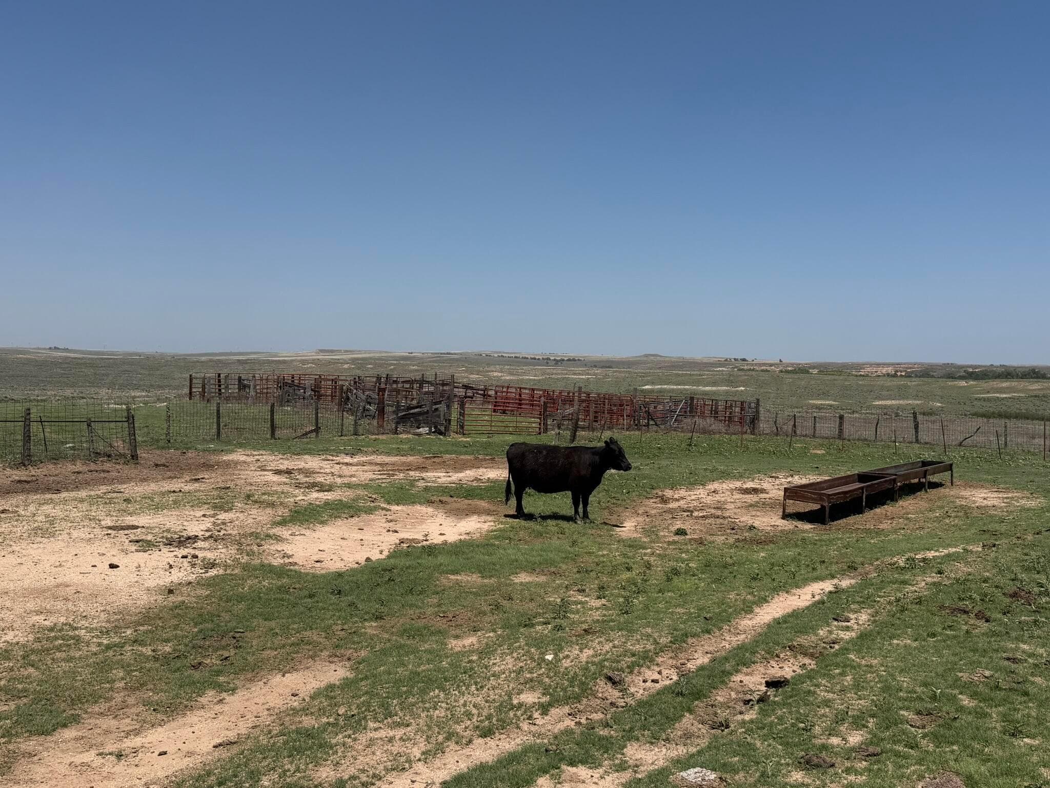 TBD County Road 3, Mobeetie, TX 79061, photo 10