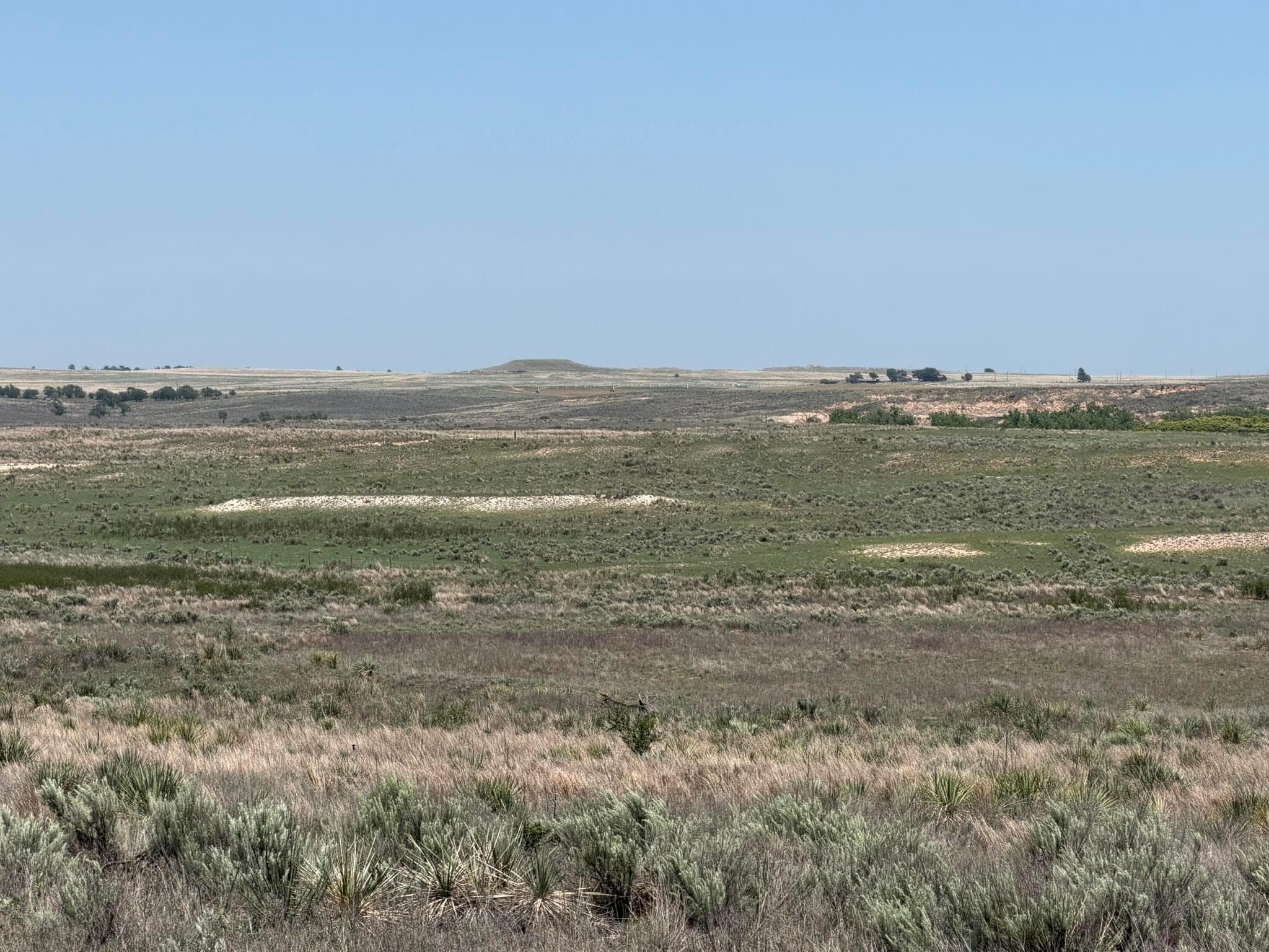 TBD County Road 3, Mobeetie, TX 79061, photo 12