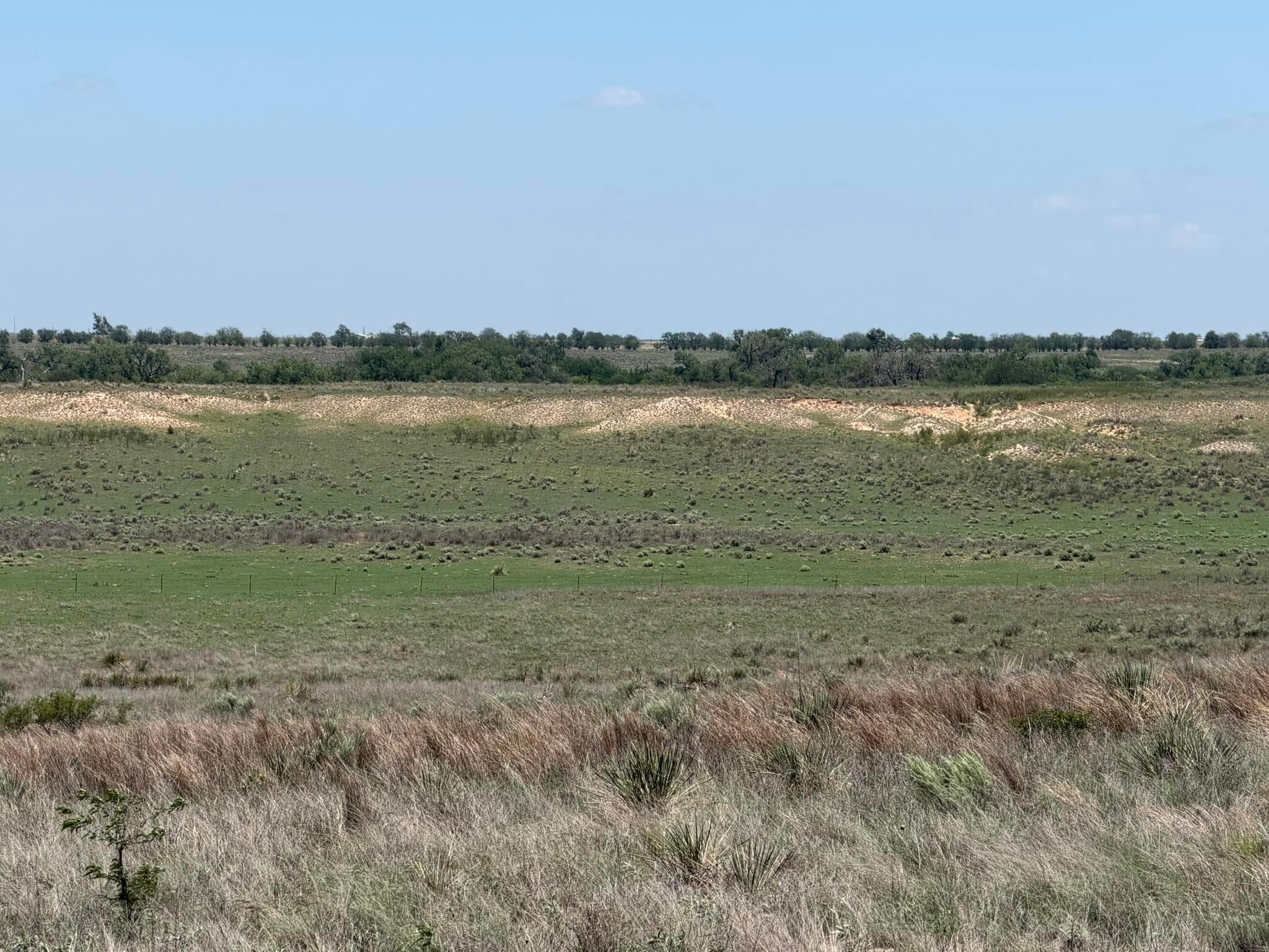 TBD County Road 3, Mobeetie, TX 79061, photo 13