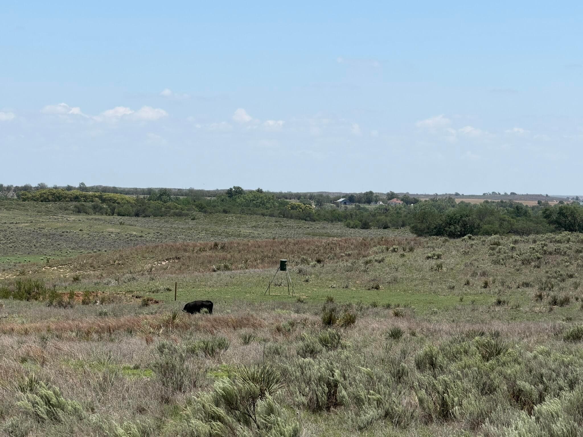 TBD County Road 3, Mobeetie, TX 79061, photo 14