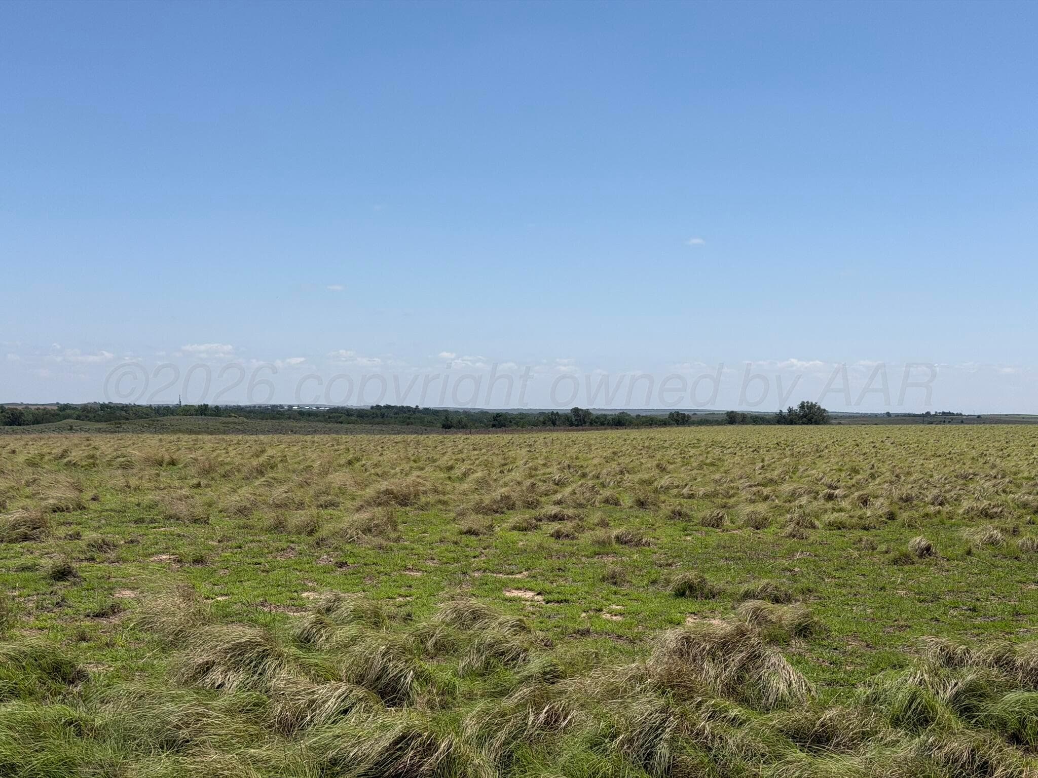 TBD County Road 3, Mobeetie, TX 79061, photo 17