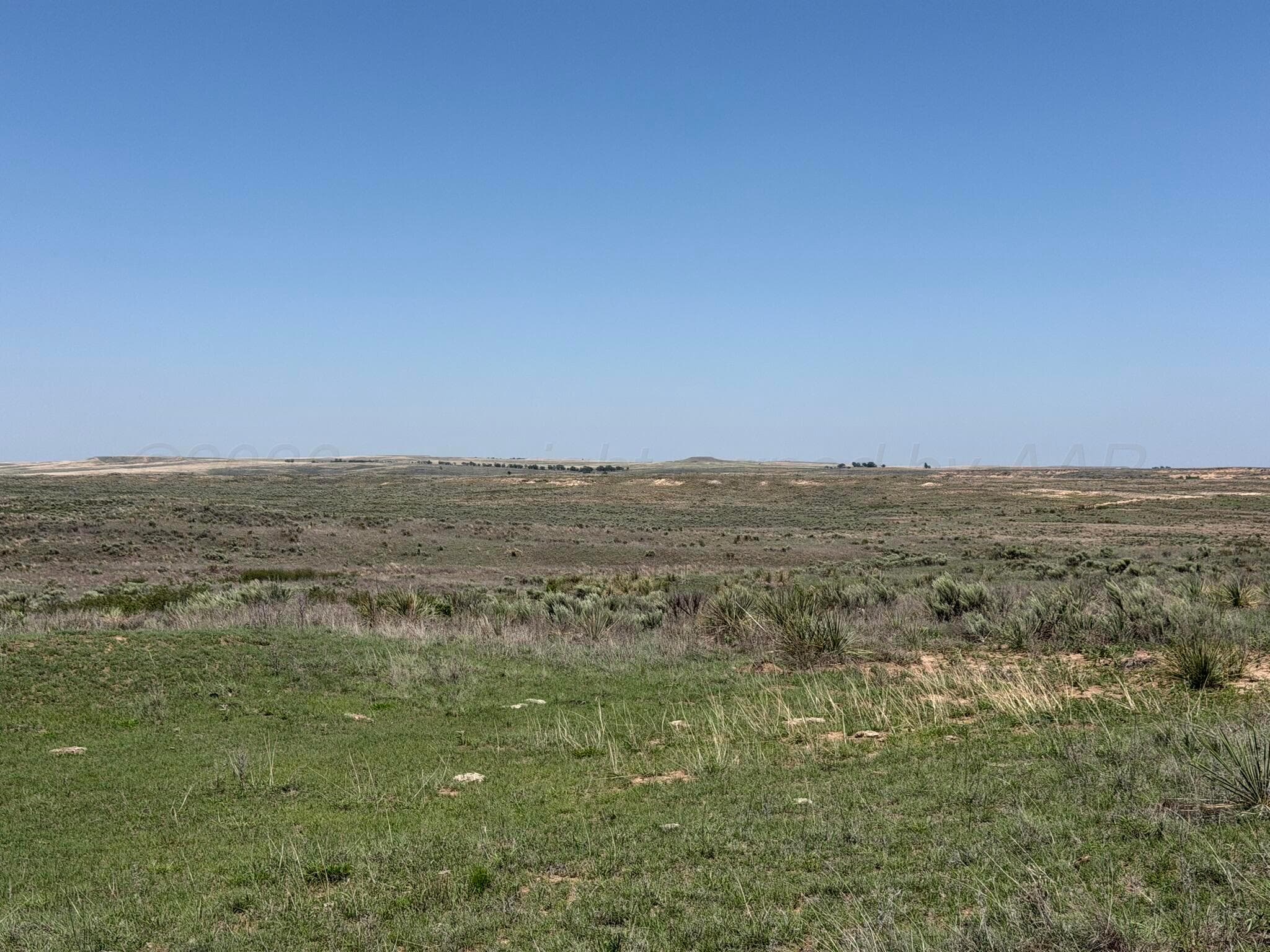 TBD County Road 3, Mobeetie, TX 79061, photo 22